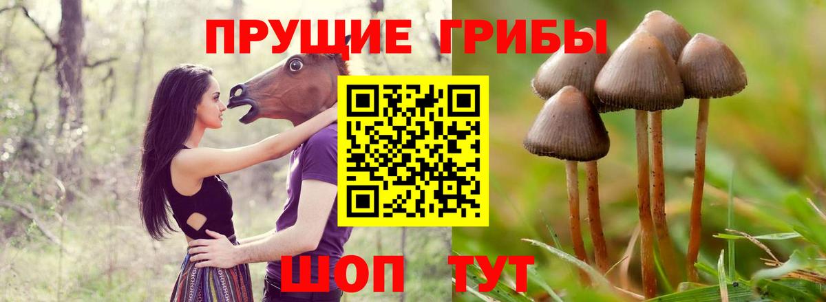 Псилоцибиновые грибы ЛСД  Псилоцибиновые грибы MAGIC MUSHROOMS  Черкесск  Вход с VPN 
