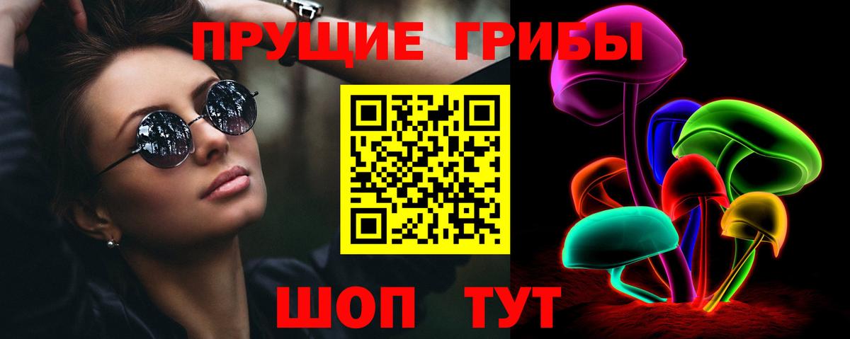 Галлюциногенные грибы Cubensis Черкесск